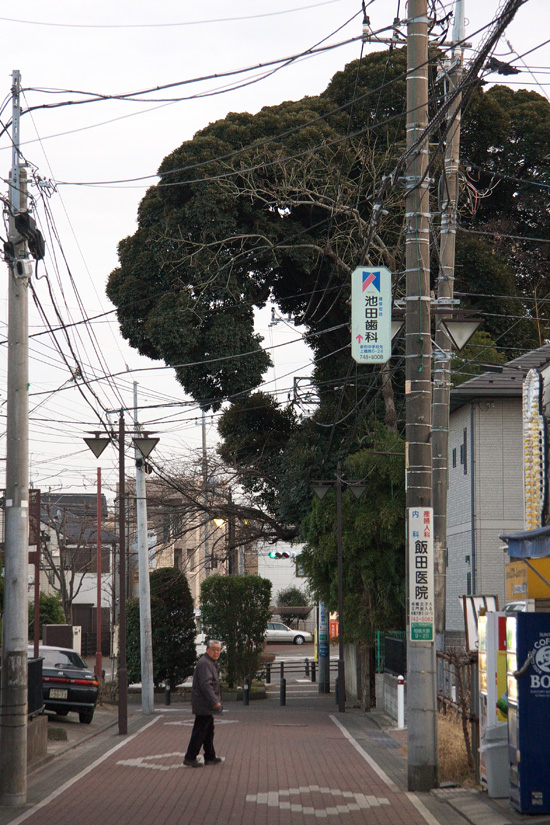 Godzilla_8983WEB.jpg