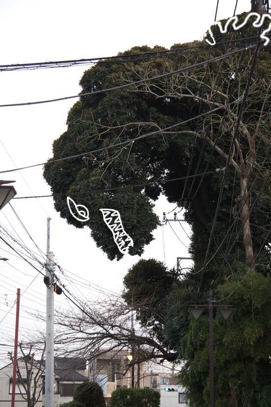 Godzilla_8985N_WEB.jpg
