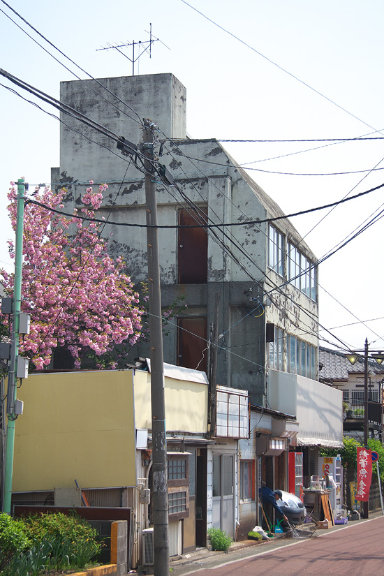 IThomasson_9330.jpg