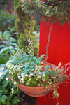 Lassiette_web_0211.jpg