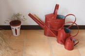 majo_tea_9081.jpg