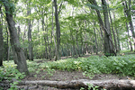 resort04.jpg