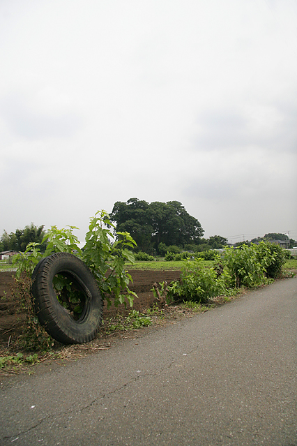 resort06.jpg