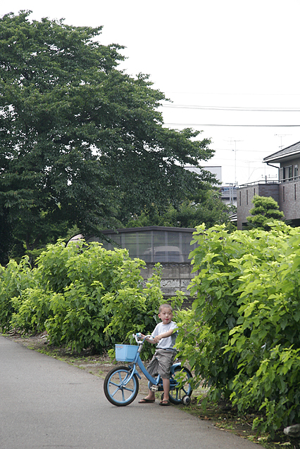 resort09.jpg