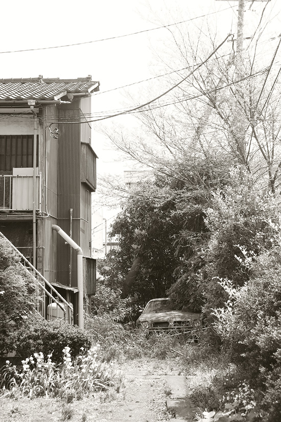 transamu_9342BK_WEB.jpg