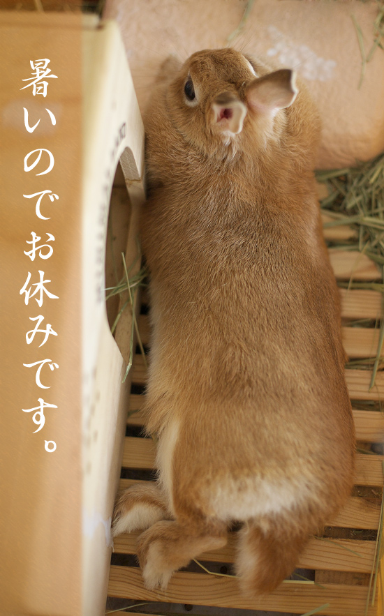2008_Summer_TANTO.jpg