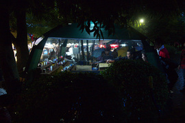 4S6V1278.jpg