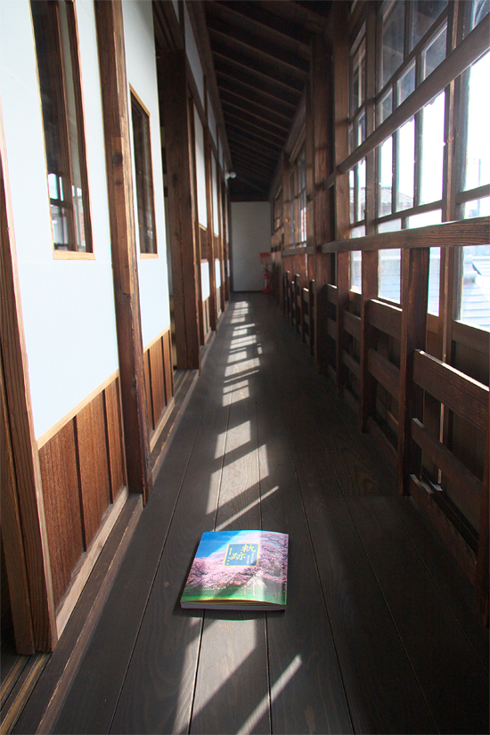 IMG_8940WEB.jpg