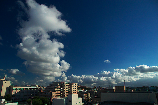 IMG_9528nWEB.jpg