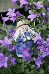 doll01.jpg