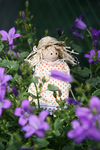 doll05.jpg
