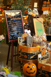 halloween_025WEB.jpg