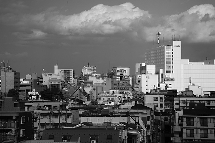 monoY_0013.jpg