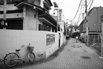 monoY_0016.jpg