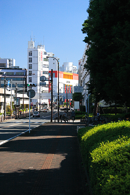 ohno_chuo06.jpg