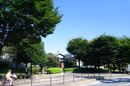 ohno_chuo09.jpg