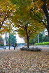 park_a02.jpg