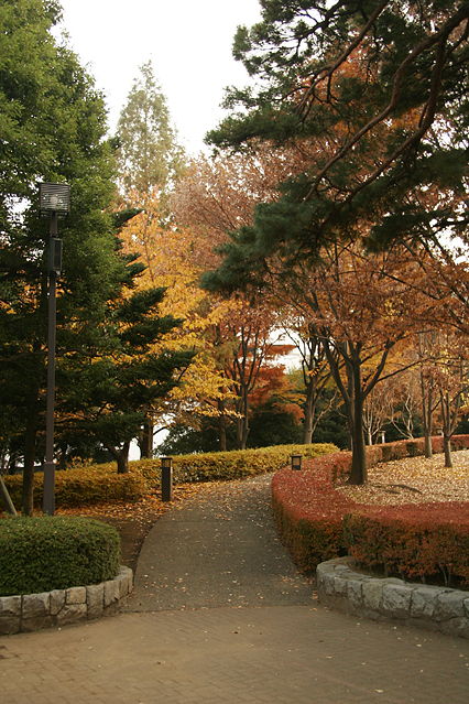park_a05.jpg