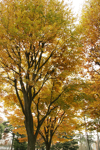 park_a07.jpg
