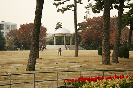 park_a10.jpg