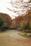 park_a12.jpg