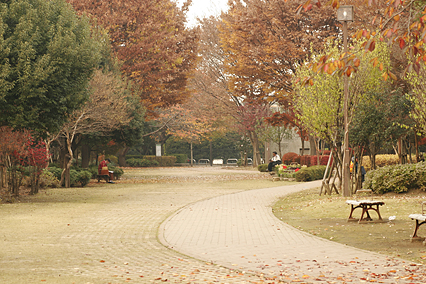 park_a14.jpg