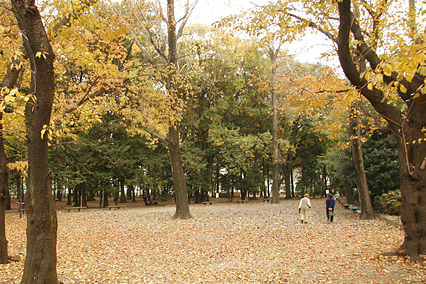 park_b01.jpg
