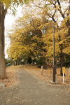 park_b03.jpg