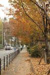 park_c03.jpg