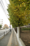 park_c04.jpg