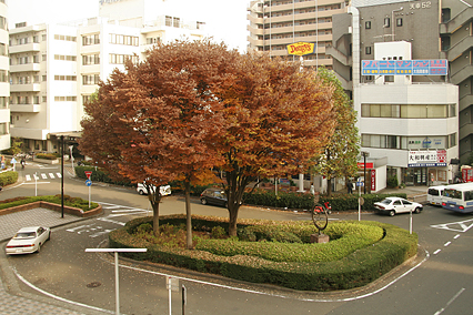 park_c05.jpg