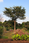 seityuji07.jpg