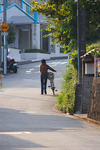 seityuji09.jpg