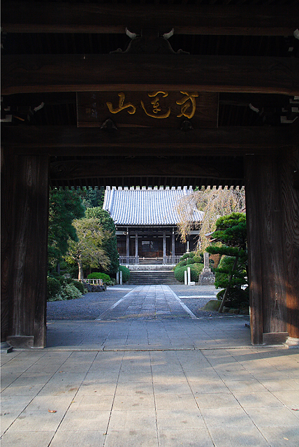 seityuji12.jpg
