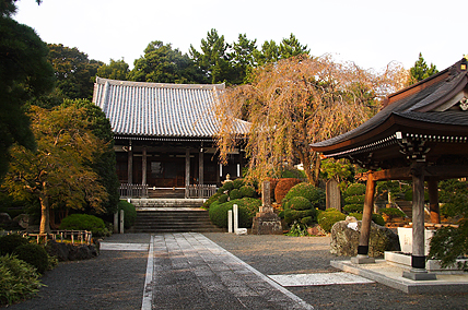 seityuji14.jpg