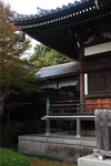 seityuji15.jpg
