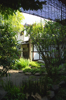 suisha_en_020.jpg