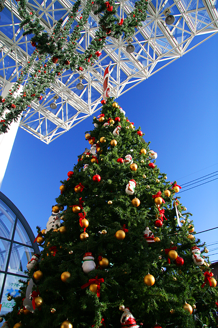 tree01.jpg