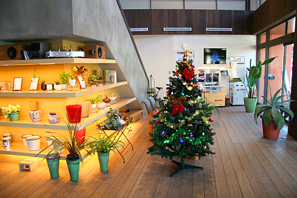 tree05.jpg