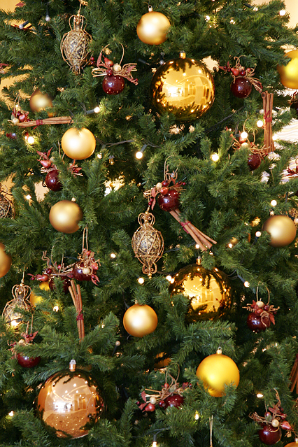 tree08.jpg