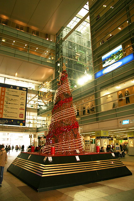 xmas12.jpg